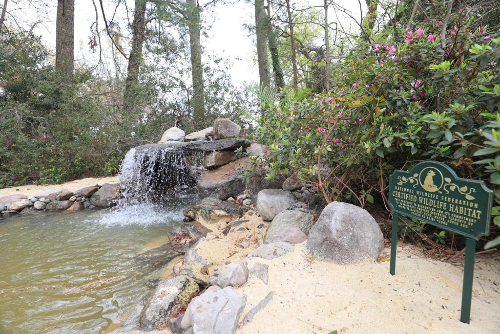 Grotto Waterfall Bethel Oasis 5 bedroom House with 2 masters photo 4