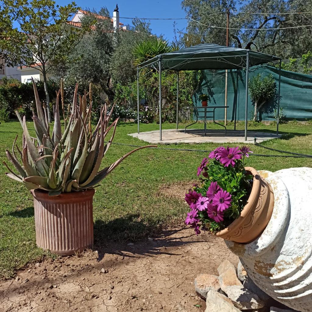 Big garden house at Itea photo 2