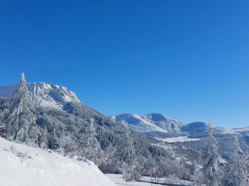 GITE LA LAUZERAIE photo 3