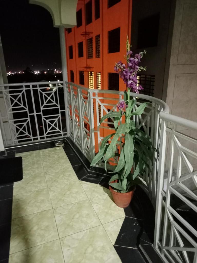 SAFNEST Furnished Apartment photo 3