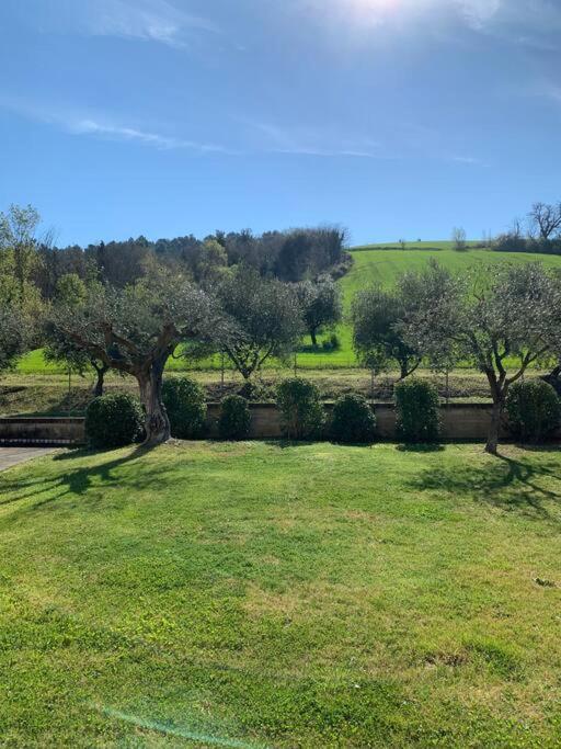 Villa Mimosa * photo 2
