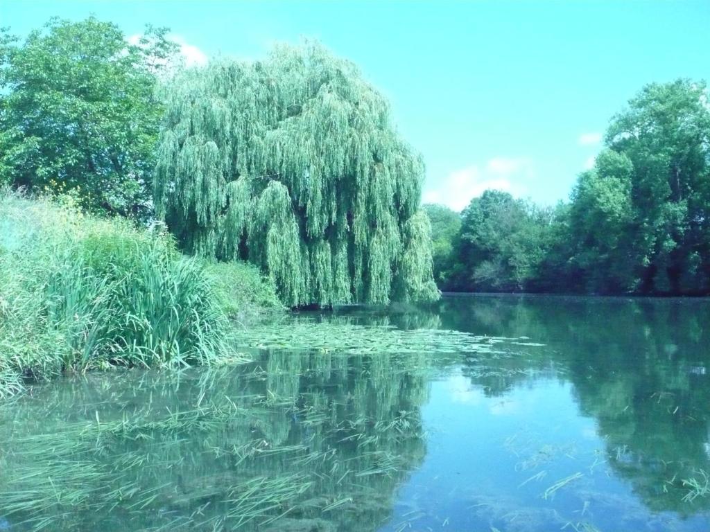 Le Havre de Bennecourt photo 4