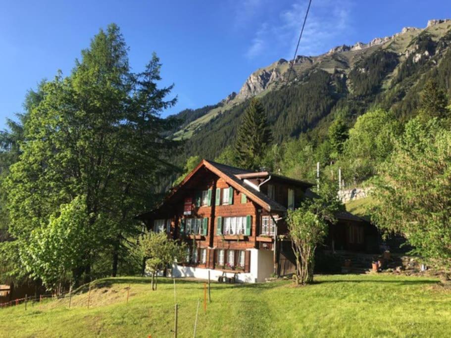 Cozy Swiss Chalet Wengen photo 4