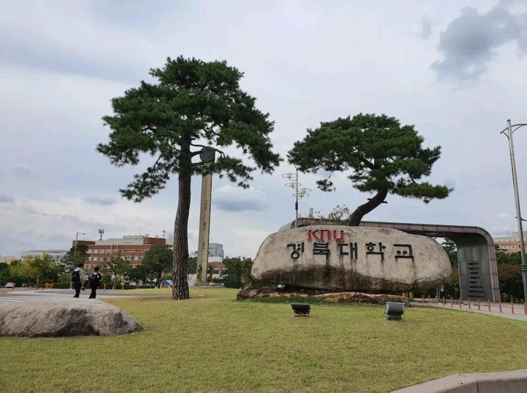 Cozy Place near Kyeongbuk university photo 1