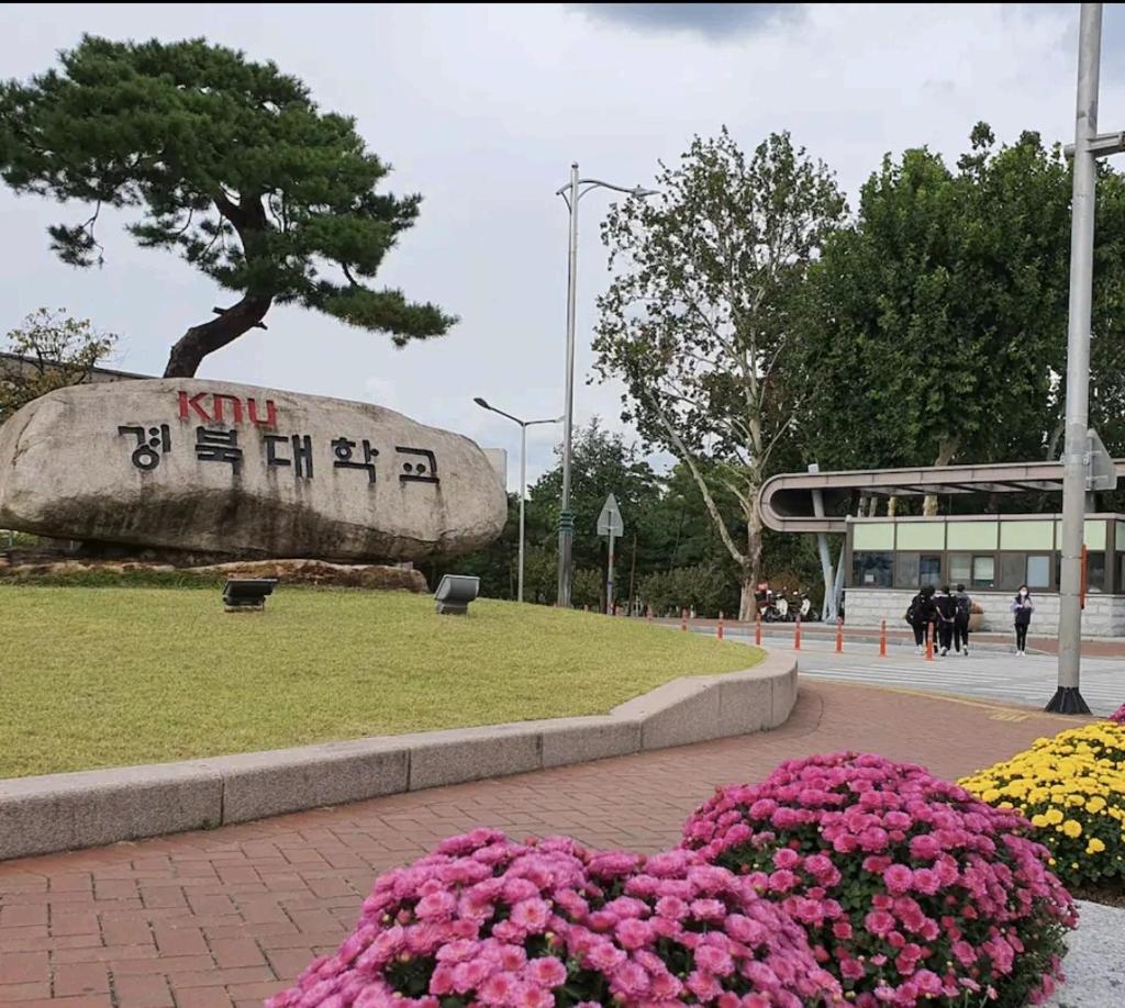 Cozy Place near Kyeongbuk university photo 2
