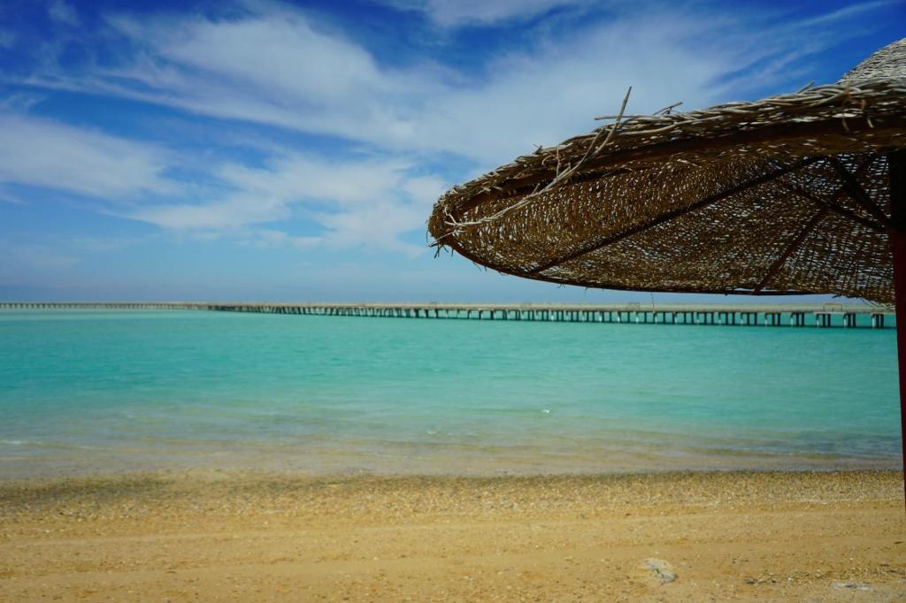 Maldives Holtel photo 2