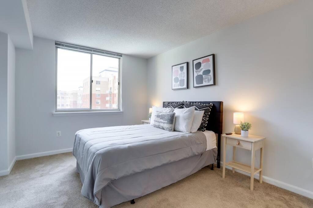 Fantastic 1 Bedroom Condo At Ballston With Gym photo 2