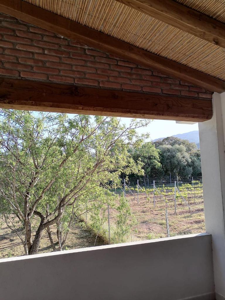 Agriturismo "PIRASTRERI" photo 4