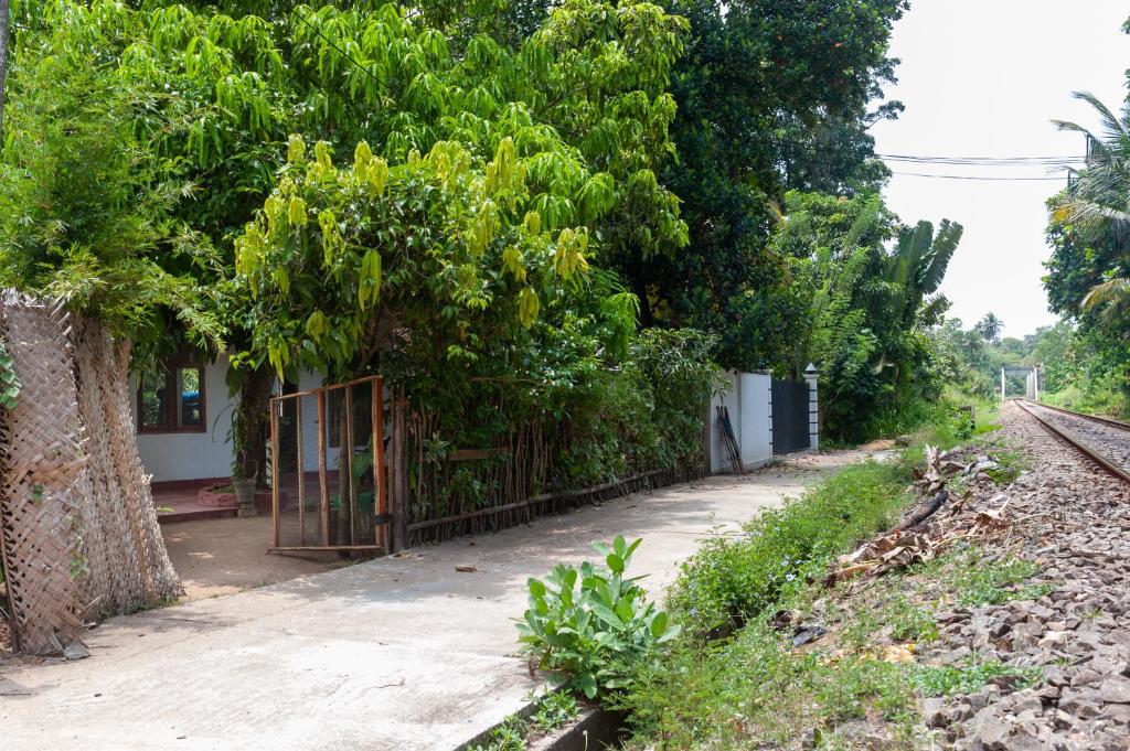 Villa Barbara photo 1