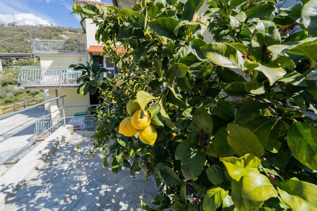CASA VACANZA IL PORTICO photo 4