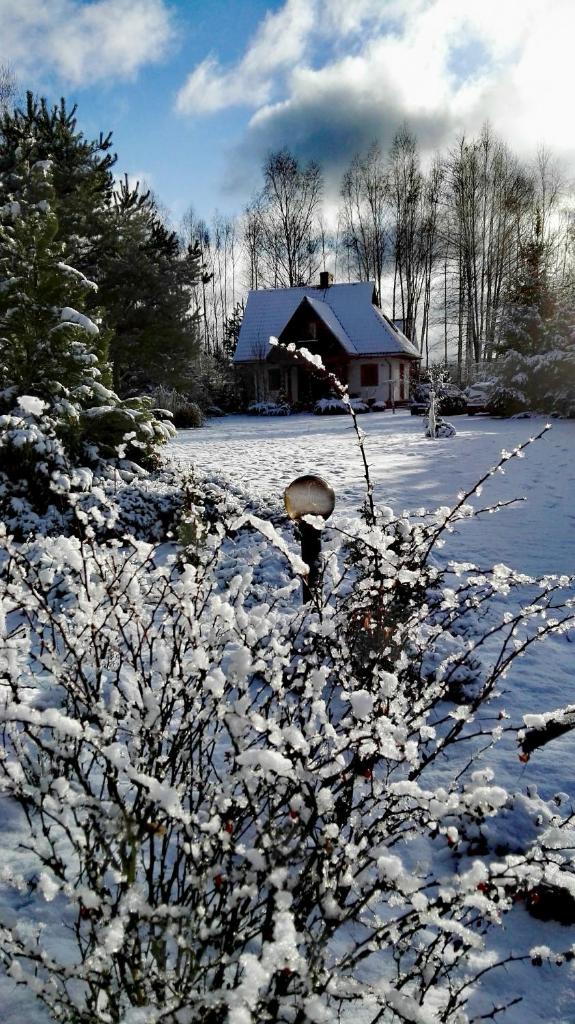 Siedlisko Gruszki Puszcza Białowieska photo 1