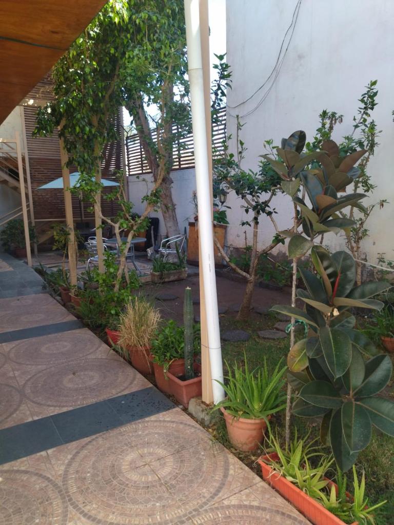 Amaru Hotel photo 3