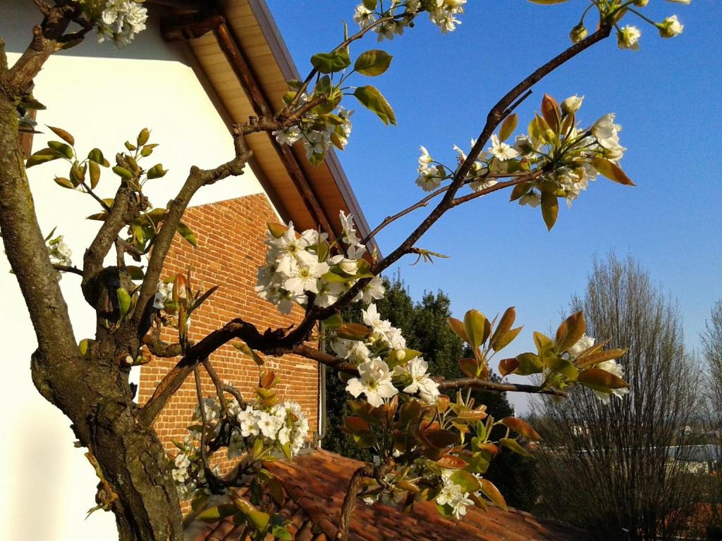 Guest house Cascina Belsito photo 3