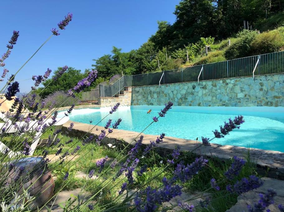 PODERE BEATRICE 20P large pool, WiFi near 5 Terre