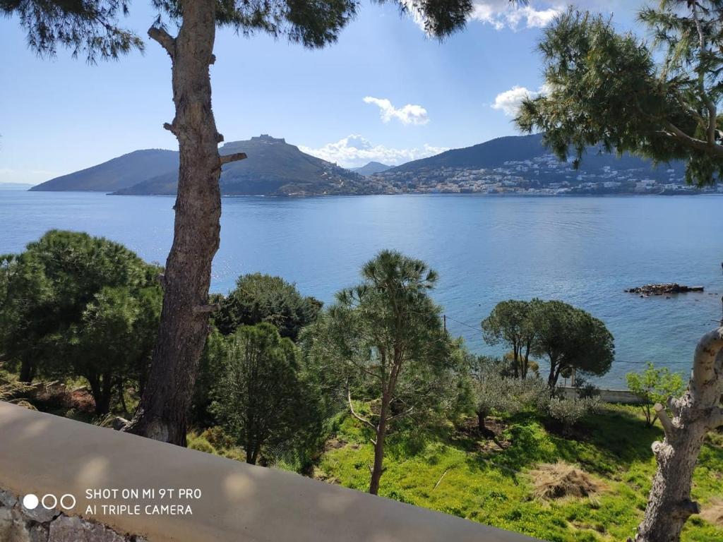 Spectacular Seaview Apartment photo 1