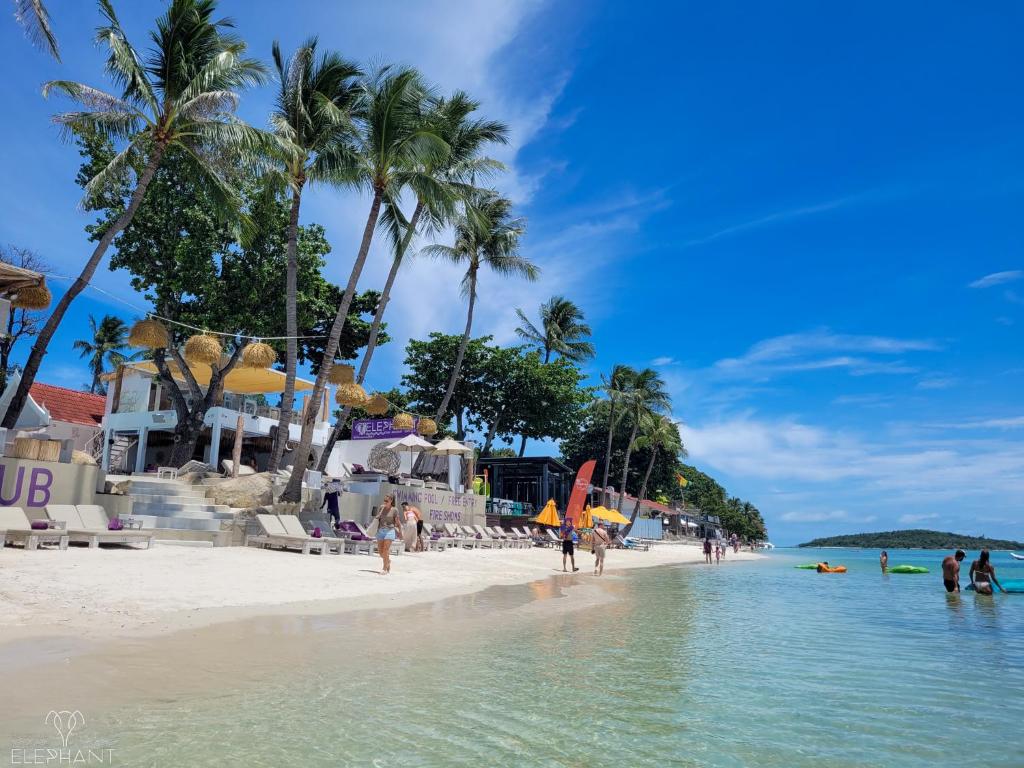 Elephant Beach Club & Resort Samui photo 3