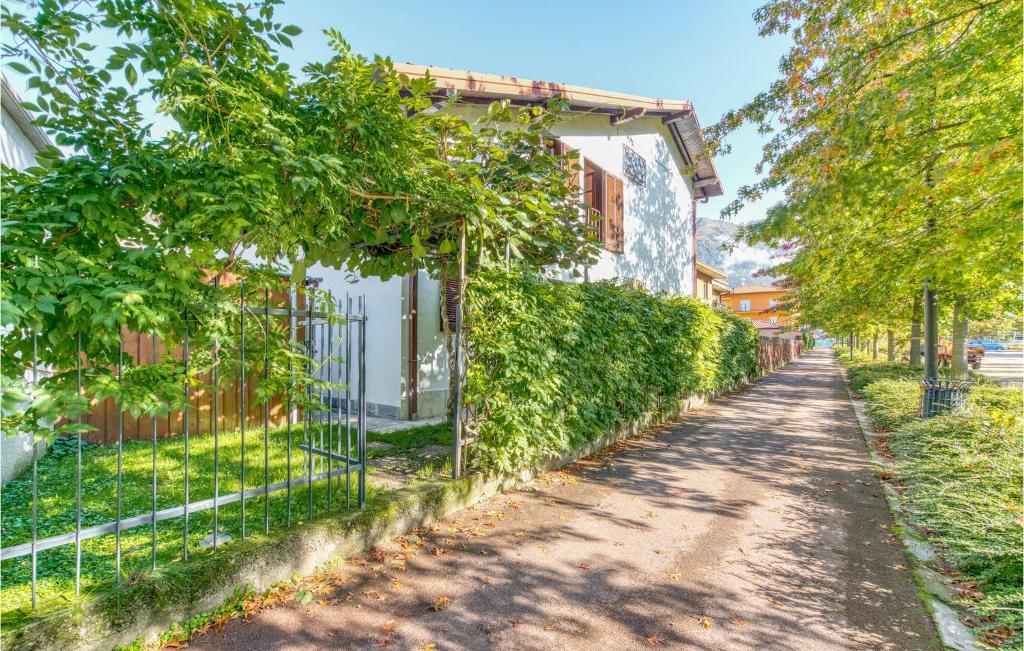 Casa Alfredo photo 3