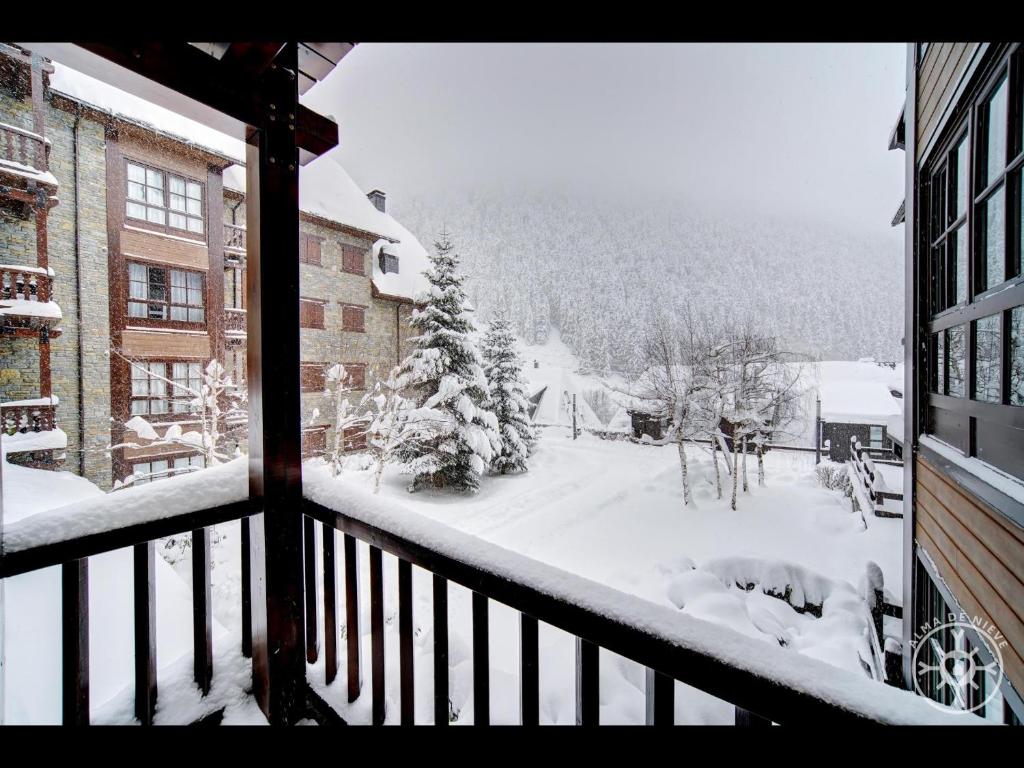BACIVER de Alma de Nieve photo 3