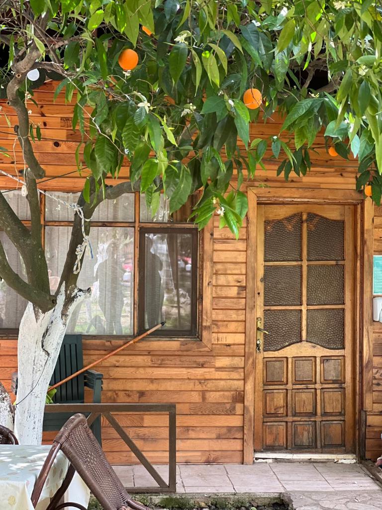 Oran Ağaç Bungalovs photo 4