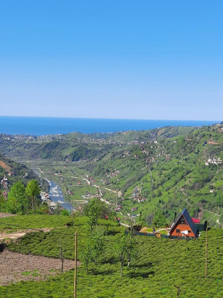 Buli Bungalow