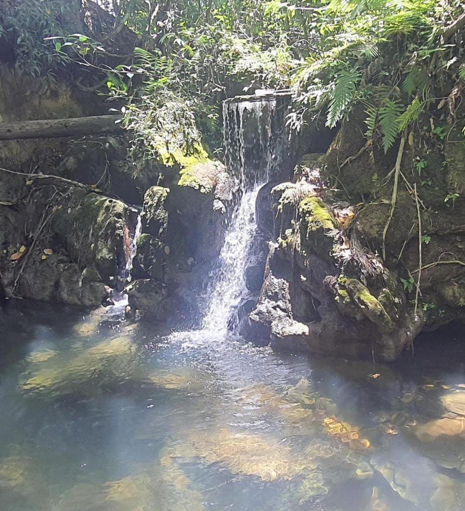 Fazenda a 15 min do centro com Rio Particular photo 1
