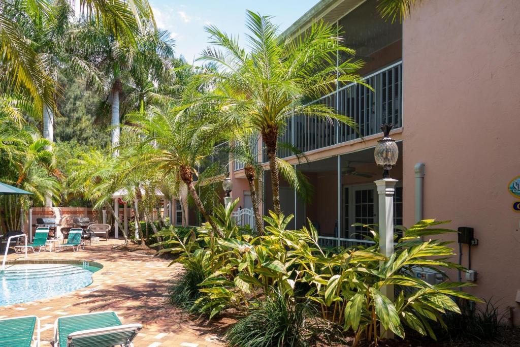Majesty Palm #2C