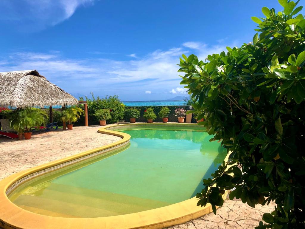 Superbe bord de mer, accès lagon et piscine privée photo 4