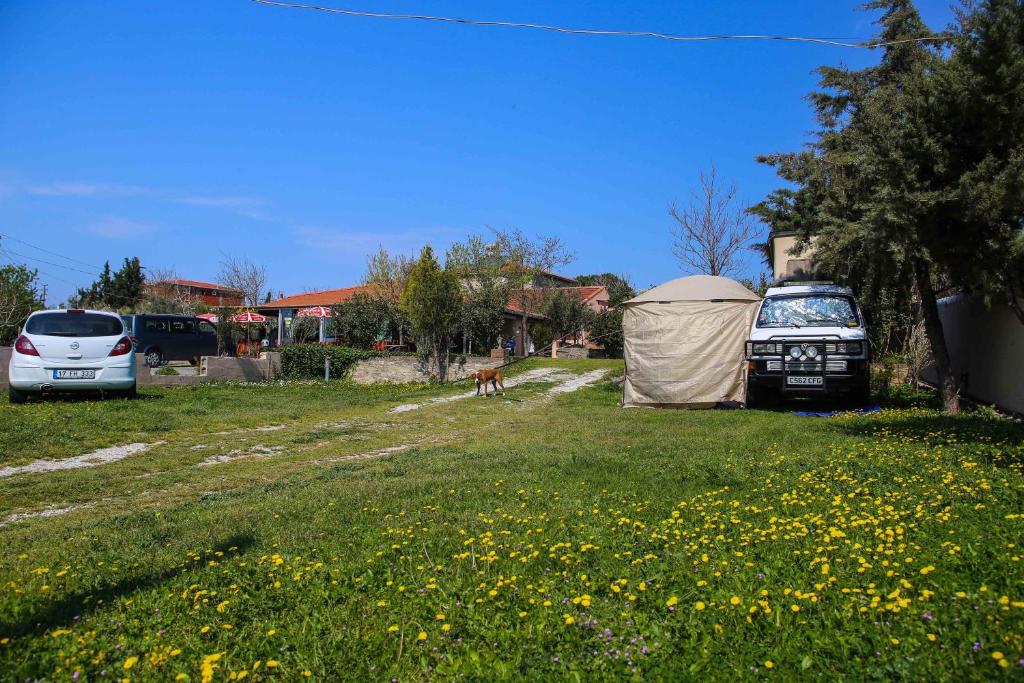 Troia Pension photo 3