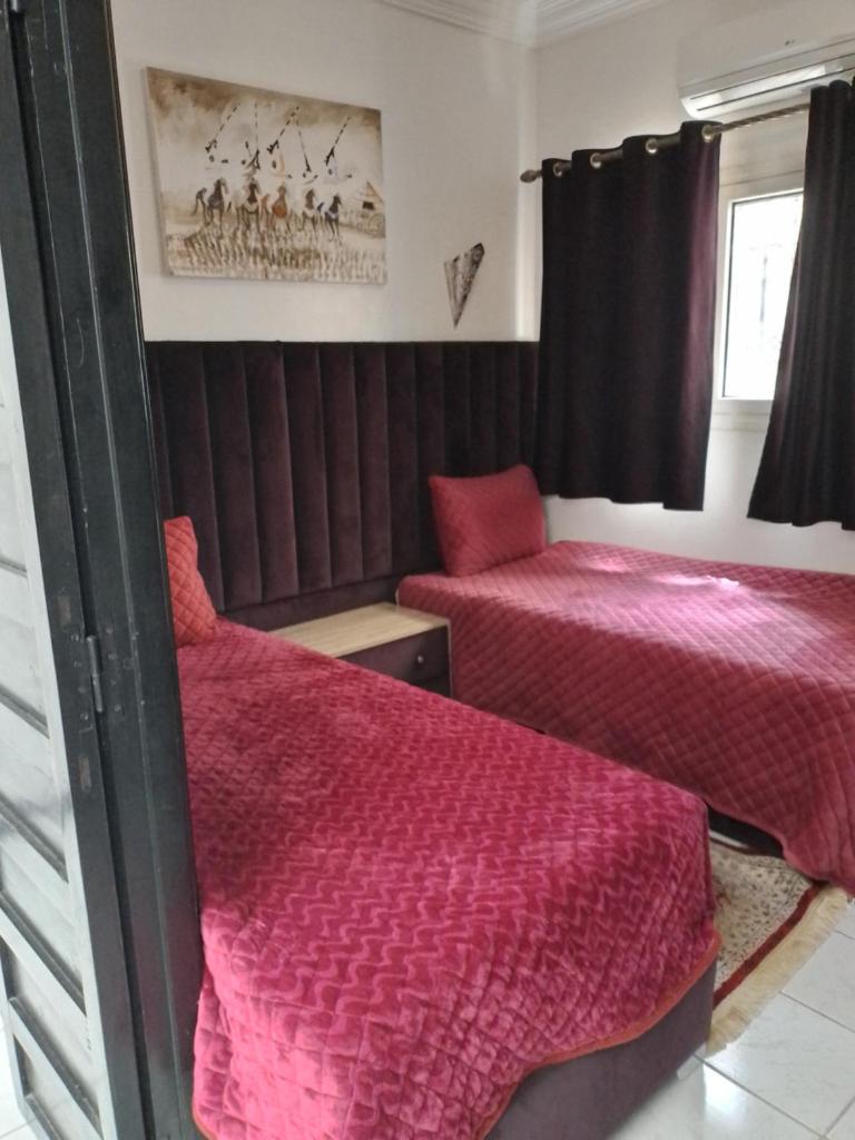 Un Riad pour se divertir en famille & se détendre photo 2