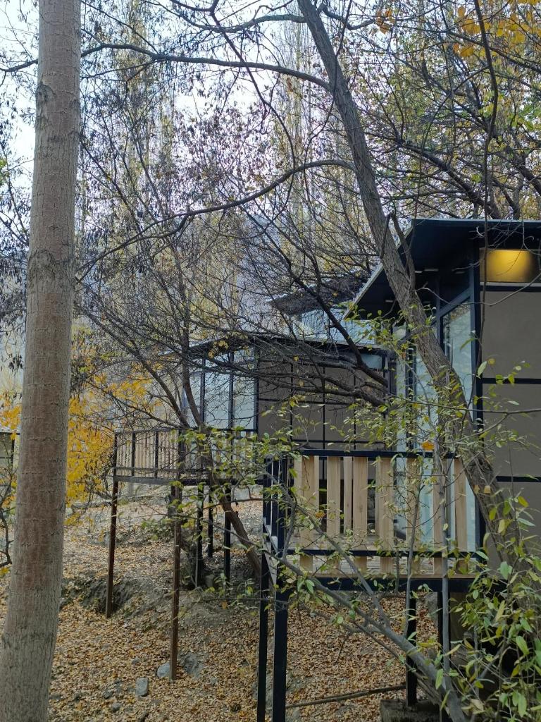 Kalp with Forest View- Cloud Nine and a Half Hunza
