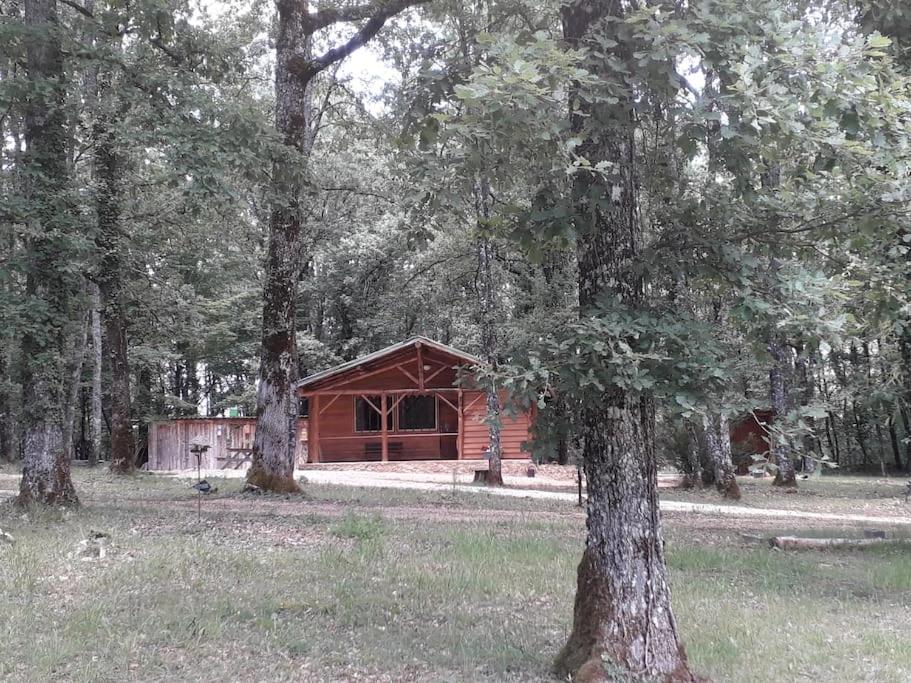 Gite Truffière de La Garrigue, Cubjac, Dordogne photo 1