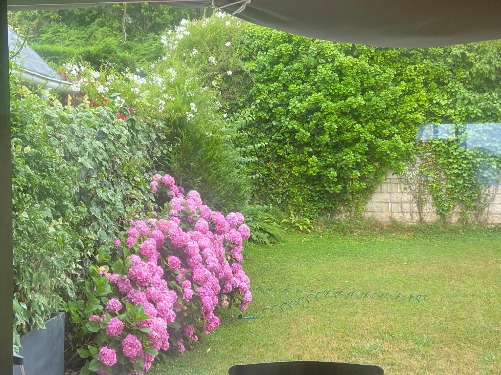 Mundaka Beachfront House photo 3