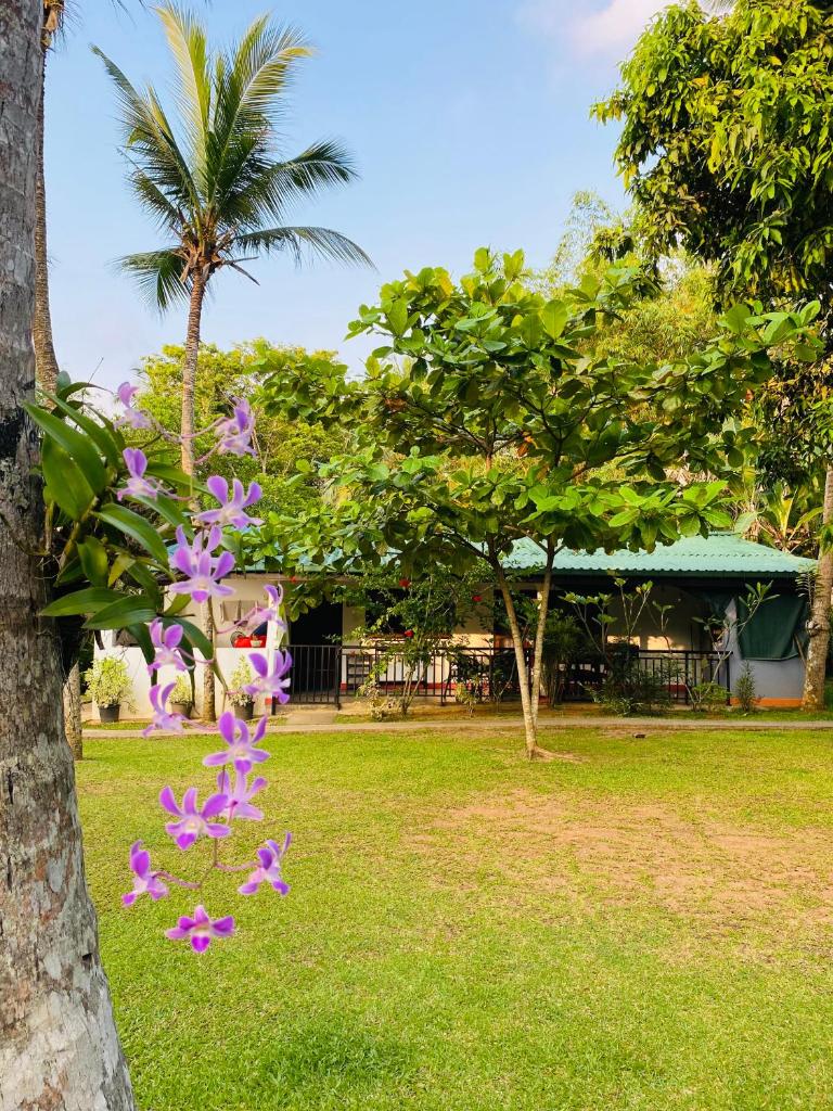 Villa Gaetano Unawatuna photo 3