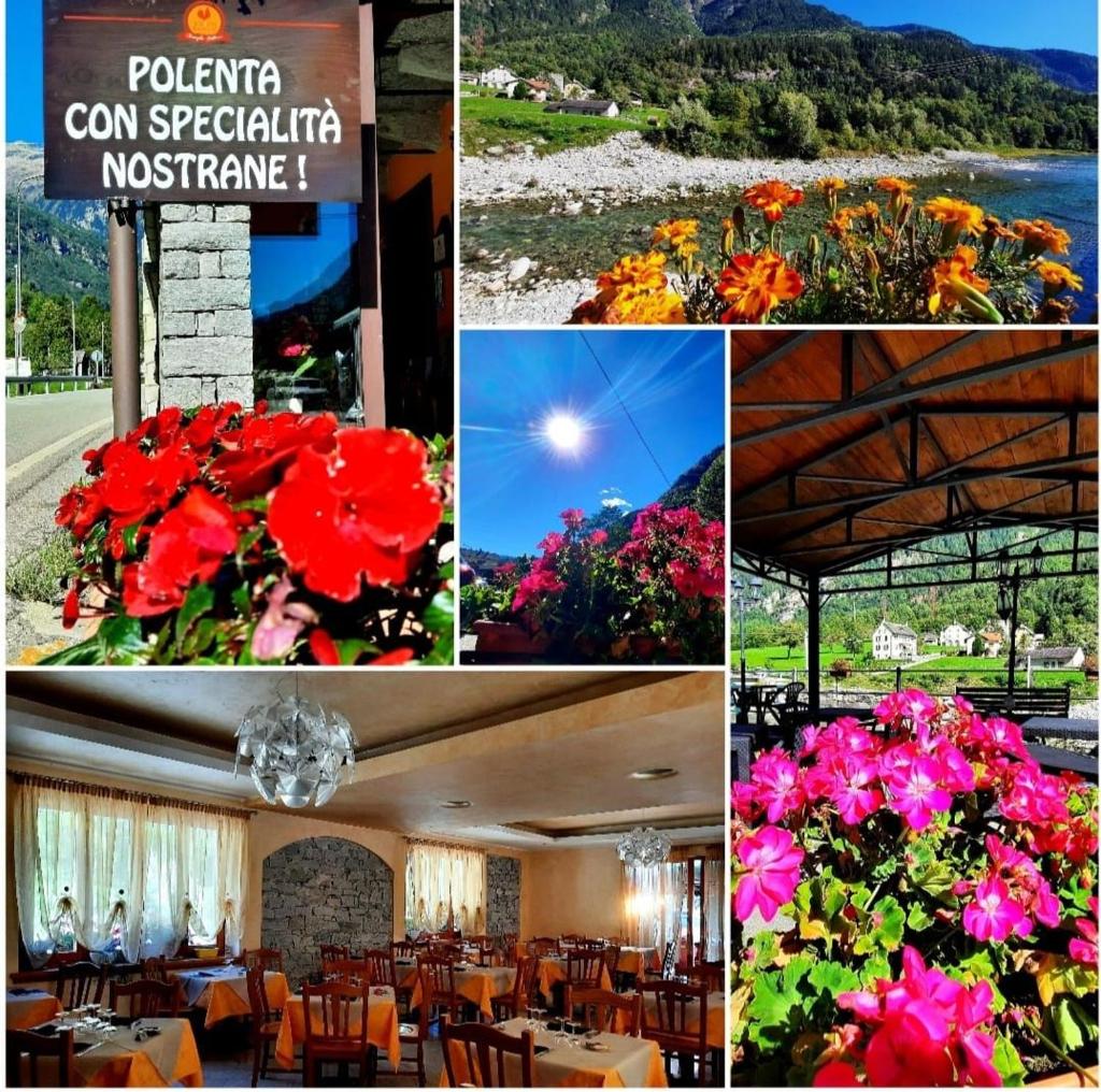 Albergo Del Ponte photo 1