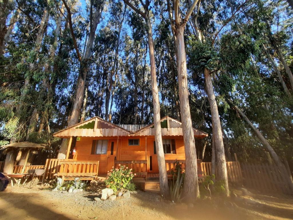 FULL SPA ISLA NEGRA Suites photo 2