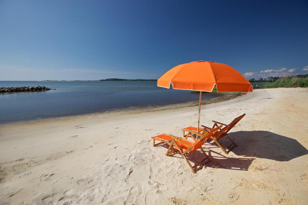 Sun Outdoors Cape Charles photo 1