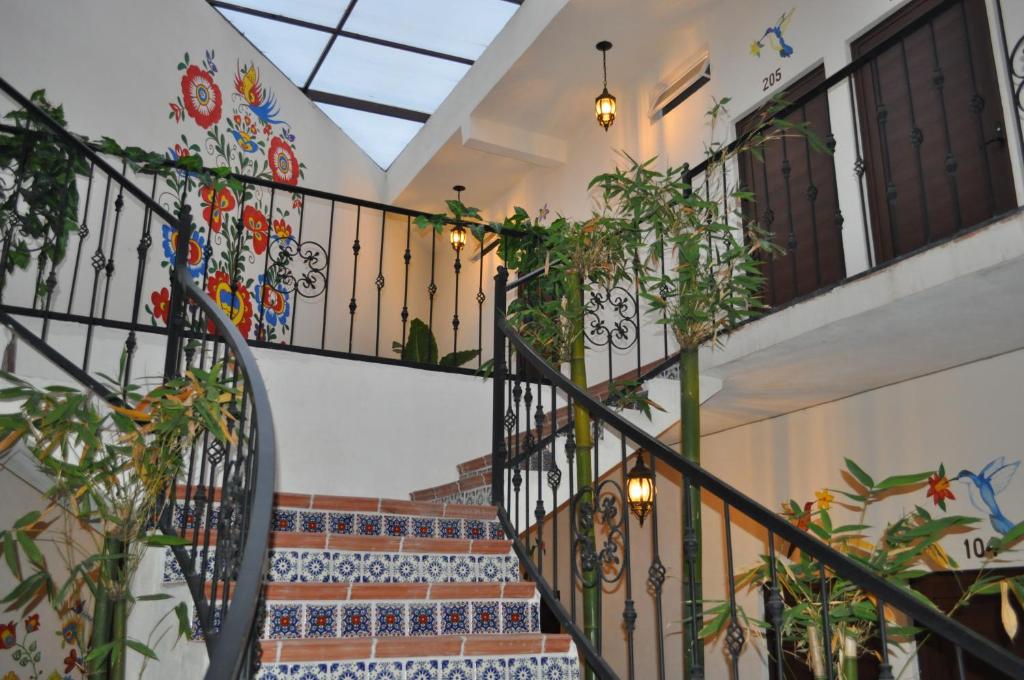 Mia Bonita Hotel Boutique photo 4