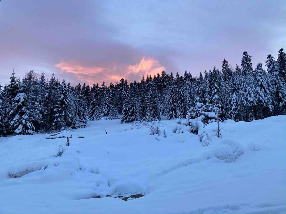 Le Perchoir- Grand Valtin 6 pers photo 2