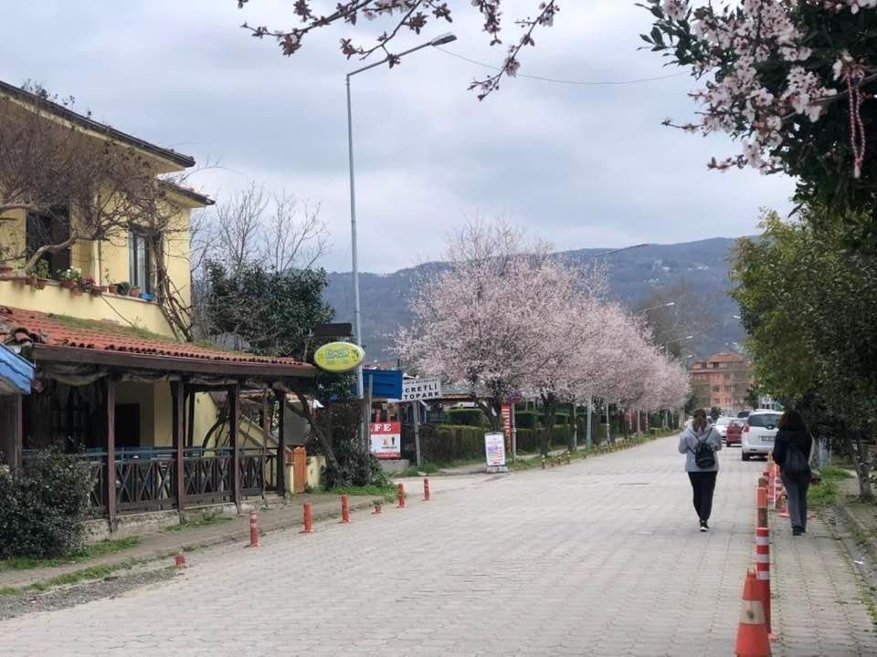 Eren Villa photo 1