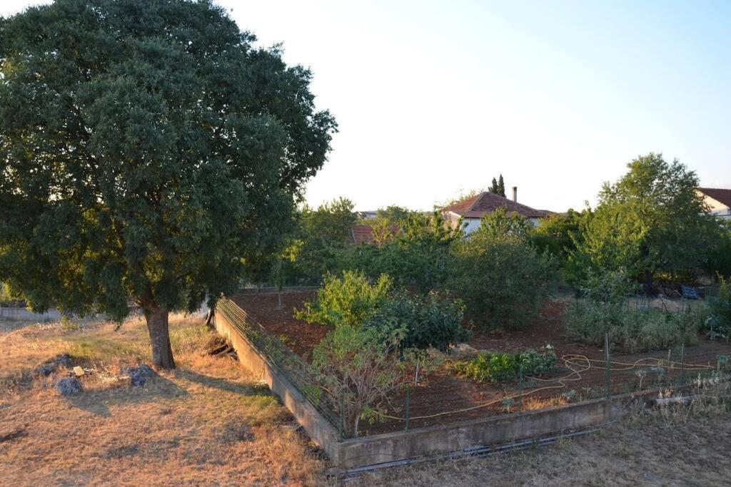 House with the ecogarden at the end of the Village photo 4