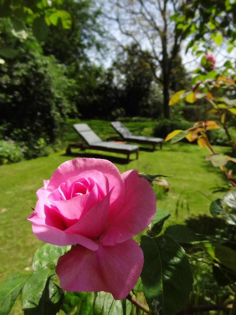 Le Clos du Mont Jarry photo 1