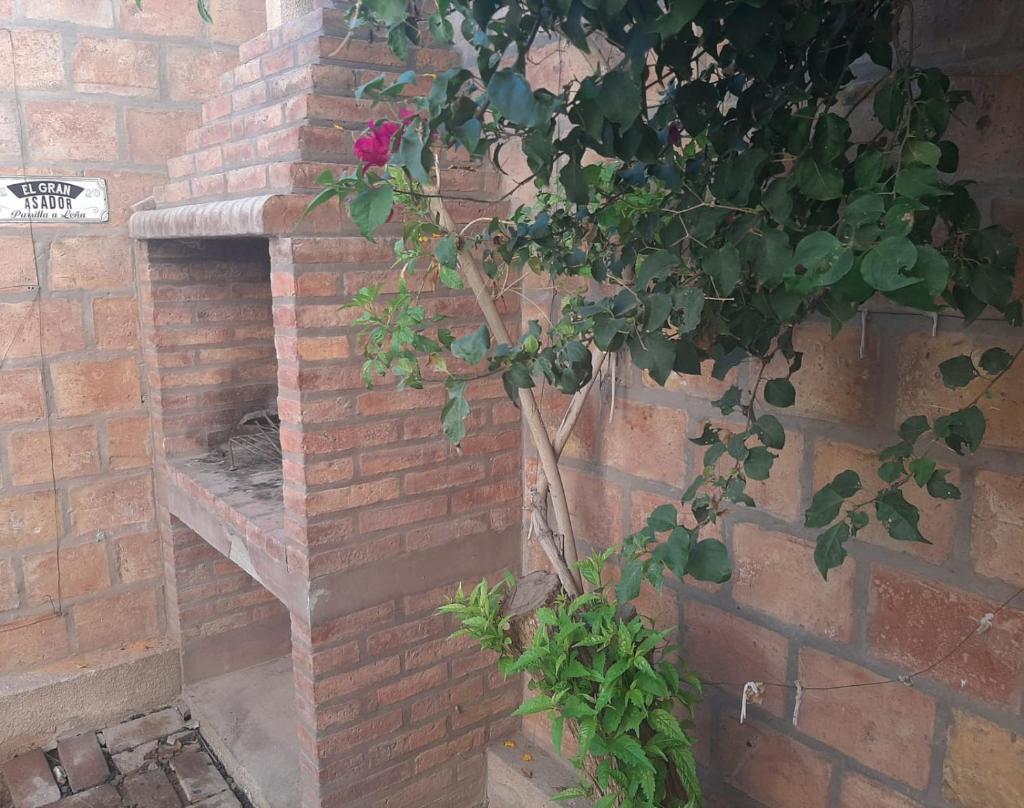 Gardenia photo 4