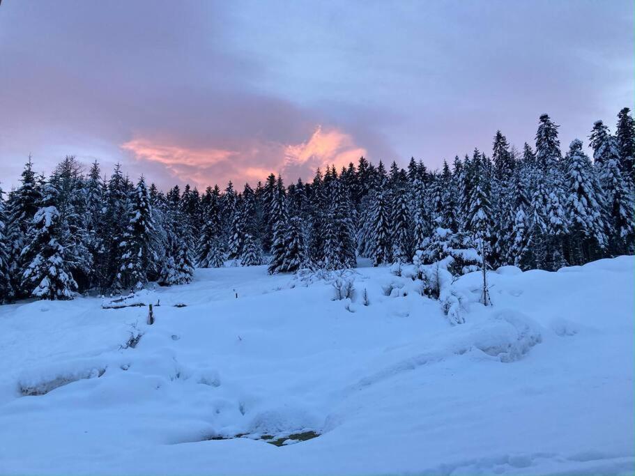 Le grand Valtin, 800m d altitude pleine nature 12 pers photo 3