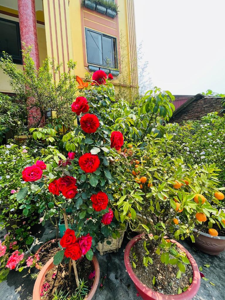 Sapa Paramount Hotel