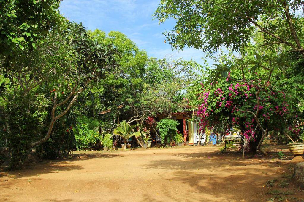 Kamlo Beach Resort photo 4