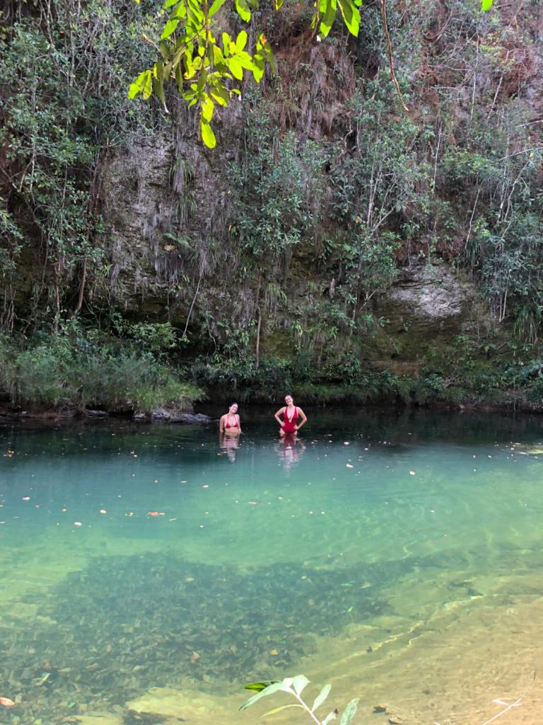 Vila Floresta - Chalé Pato Mergulhão photo 1