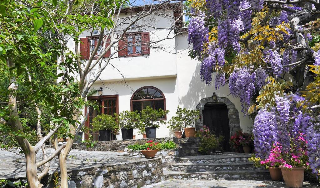 Wonderful 4 Bedroom Villa & separate guest house Villa Thalia photo 1