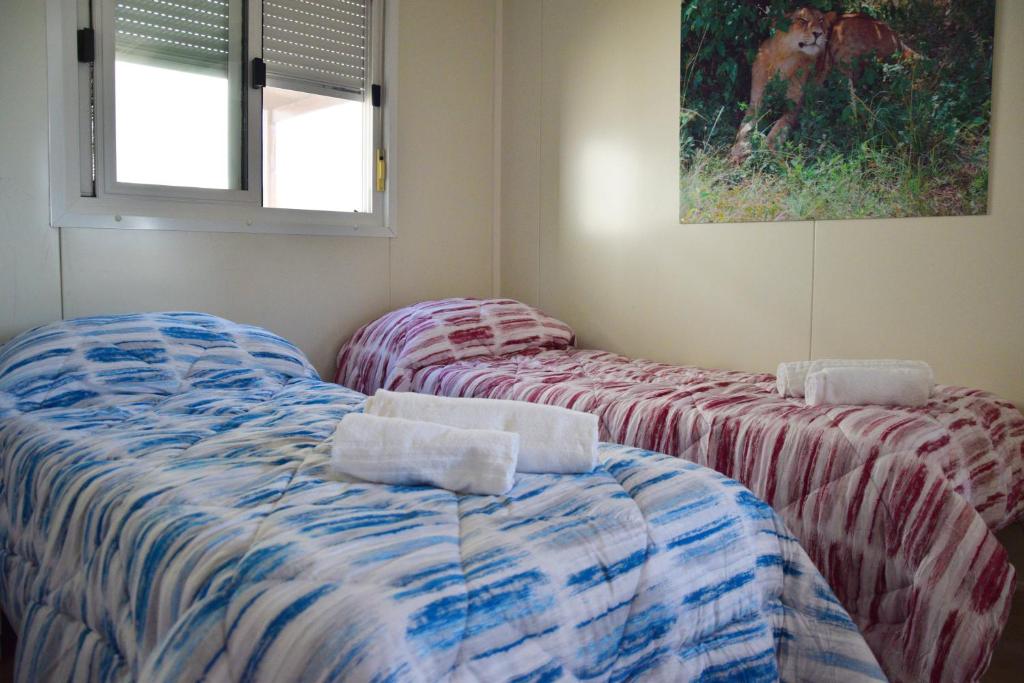 SAFARI CAMPING photo 3
