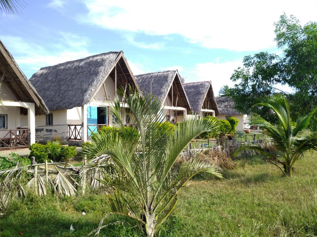 SANJEELA-PLAGE COCO photo 1