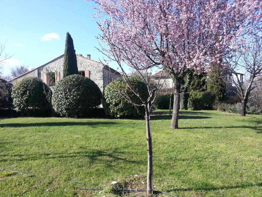 La Fenice - Beautifully restored property with heated pool in small village photo 4